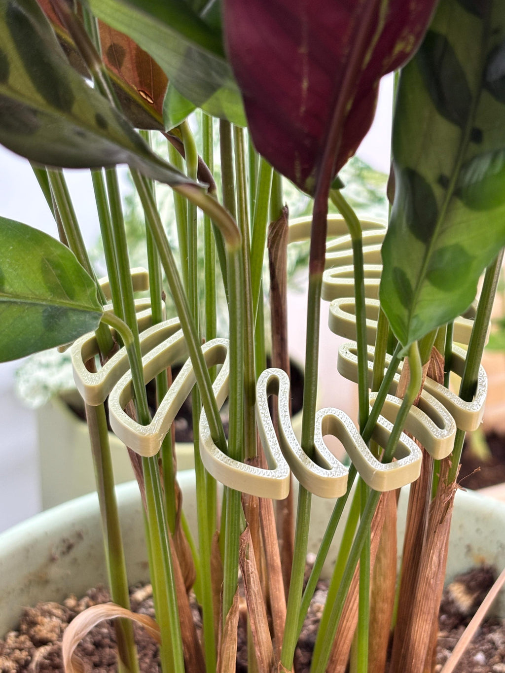 Monstera Leaf Plant Stem Holder: 3D Printed Houseplant Support - Set of 2