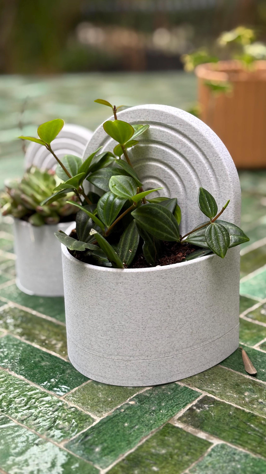 Bookend Planter Duo – 3D Printed Minimalist Book Holders with Built-In Planters & Drainage