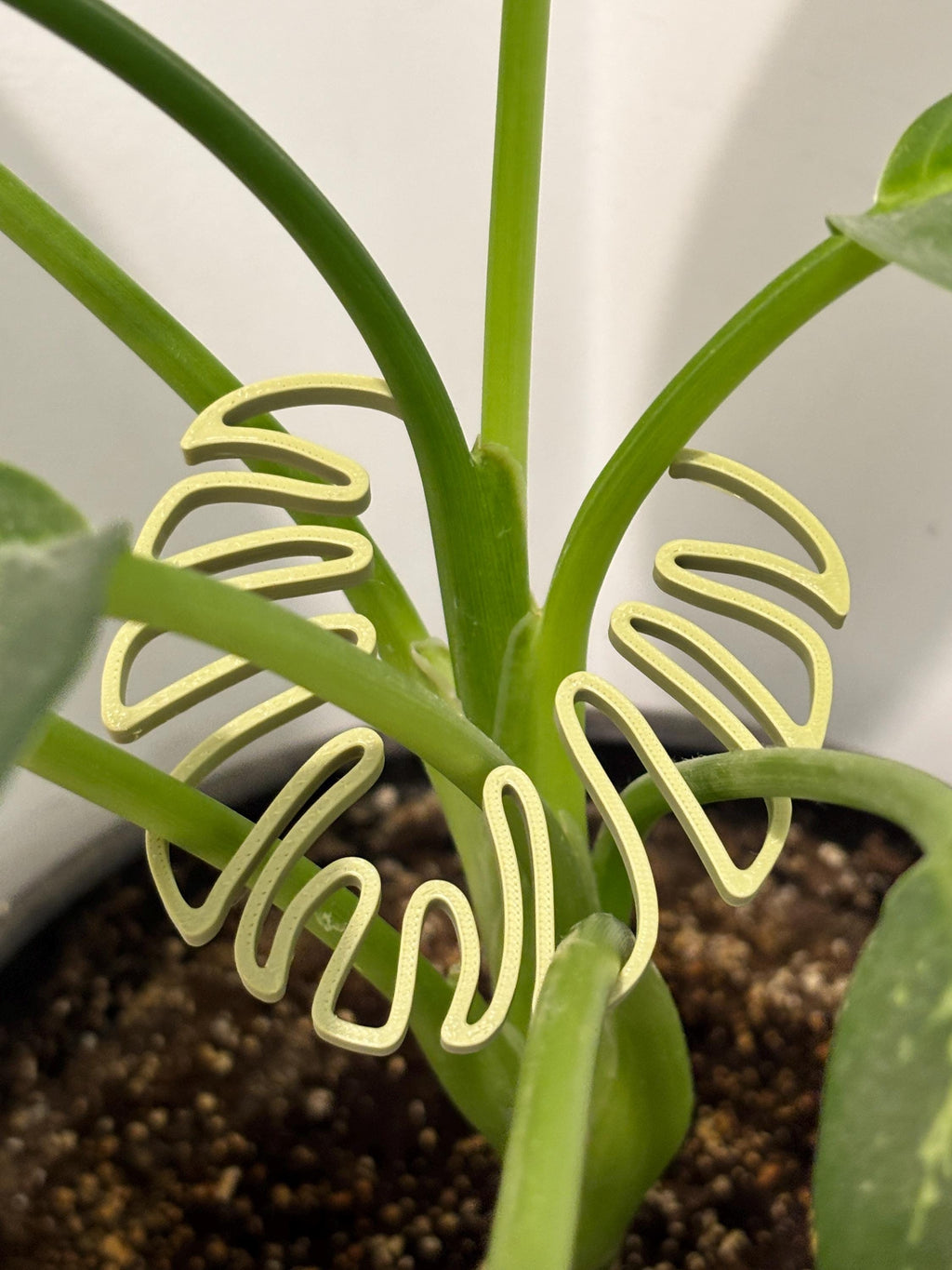 Monstera Leaf Plant Stem Holder: 3D Printed Houseplant Support - Set of 2