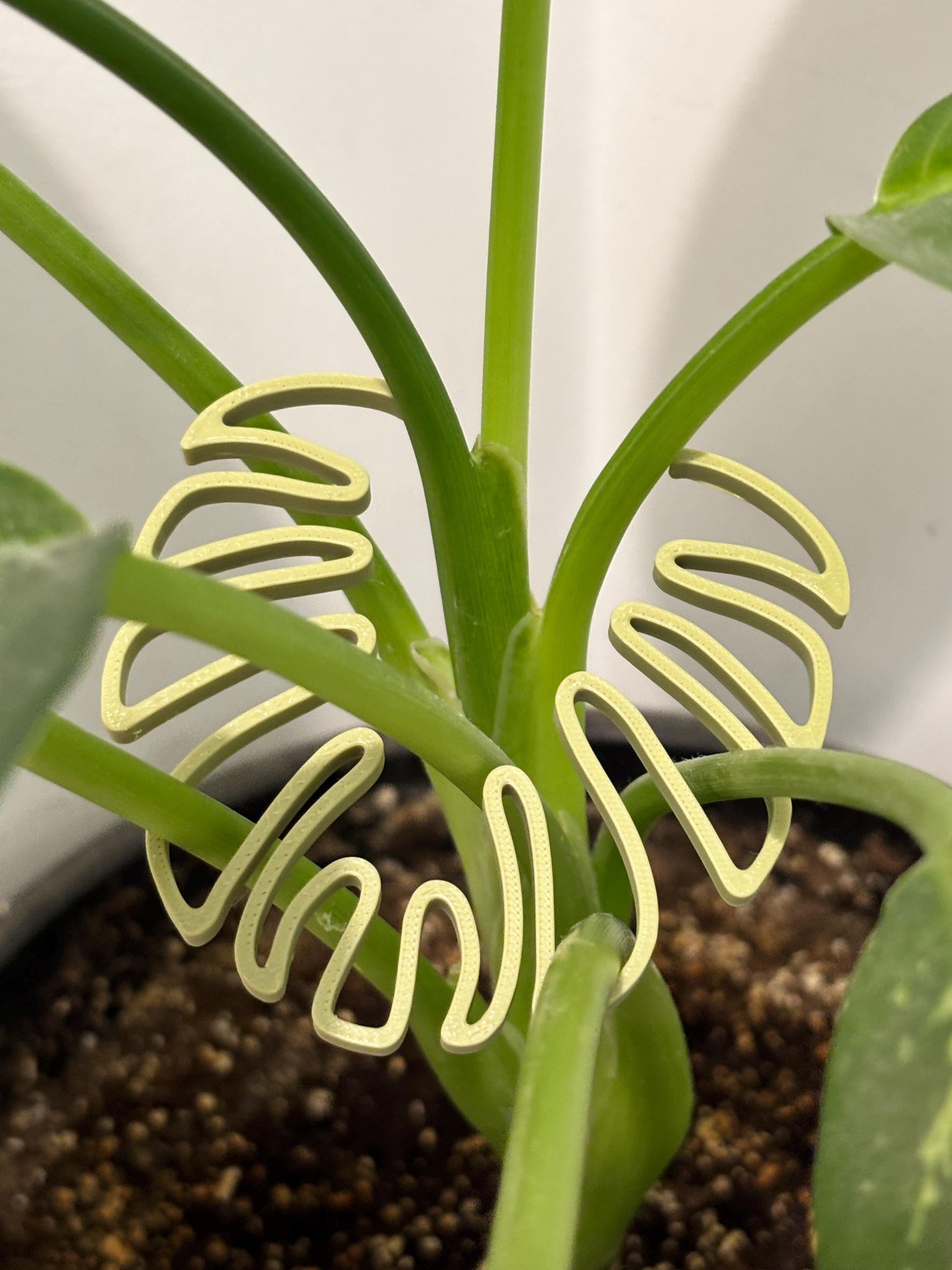 Monstera Leaf Plant Stem Holder: 3D Printed Houseplant Support - Set of 2