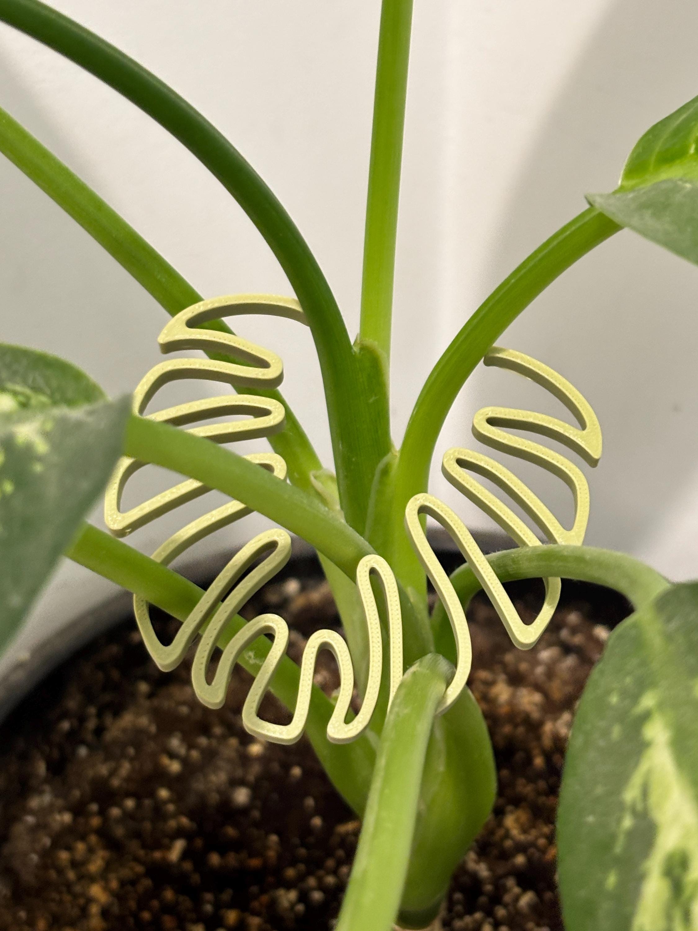 Monstera Leaf Plant Stem Holder: 3D Printed Houseplant Support - Set of 2